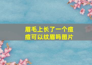 眉毛上长了一个痘痘可以纹眉吗图片