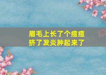 眉毛上长了个痘痘挤了发炎肿起来了