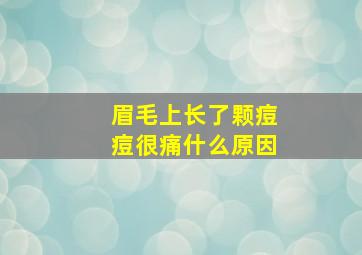 眉毛上长了颗痘痘很痛什么原因