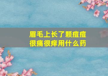 眉毛上长了颗痘痘很痛很痒用什么药