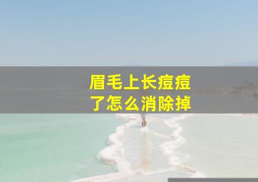 眉毛上长痘痘了怎么消除掉