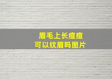 眉毛上长痘痘可以纹眉吗图片