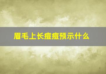 眉毛上长痘痘预示什么