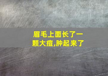 眉毛上面长了一颗大痘,肿起来了