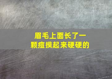 眉毛上面长了一颗痘摸起来硬硬的