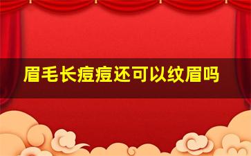 眉毛长痘痘还可以纹眉吗