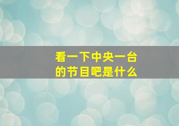 看一下中央一台的节目吧是什么