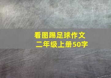 看图踢足球作文二年级上册50字