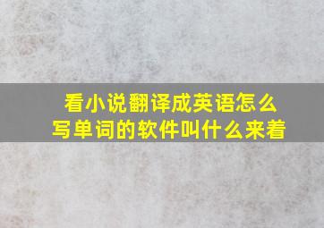 看小说翻译成英语怎么写单词的软件叫什么来着