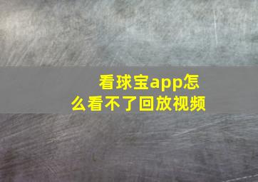 看球宝app怎么看不了回放视频