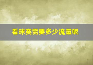 看球赛需要多少流量呢