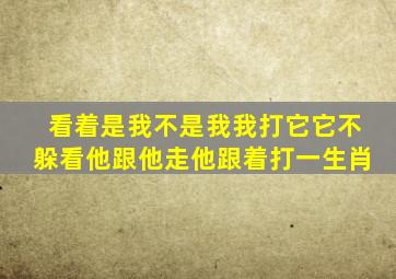 看着是我不是我我打它它不躲看他跟他走他跟着打一生肖