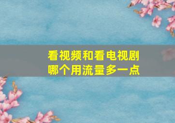 看视频和看电视剧哪个用流量多一点