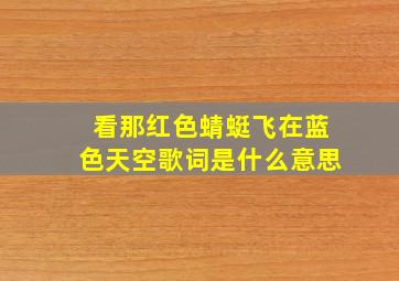 看那红色蜻蜓飞在蓝色天空歌词是什么意思