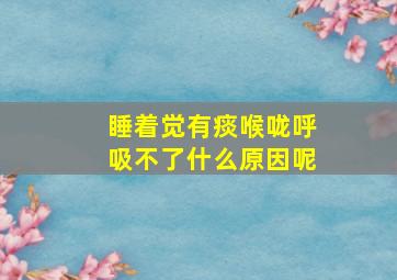 睡着觉有痰喉咙呼吸不了什么原因呢