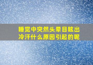 睡觉中突然头晕目眩出冷汗什么原因引起的呢