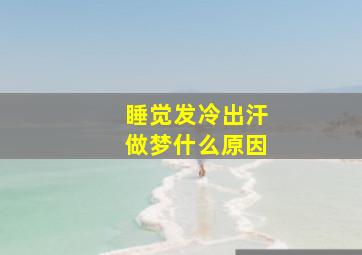 睡觉发冷出汗做梦什么原因