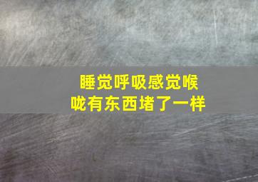 睡觉呼吸感觉喉咙有东西堵了一样