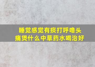 睡觉感觉有痰打呼噜头痛煲什么中草药水喝治好