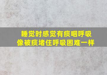 睡觉时感觉有痰咽呼吸像被痰堵住呼吸困难一样