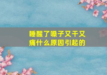 睡醒了嗓子又干又痛什么原因引起的