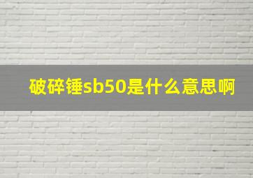 破碎锤sb50是什么意思啊