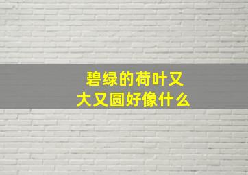 碧绿的荷叶又大又圆好像什么