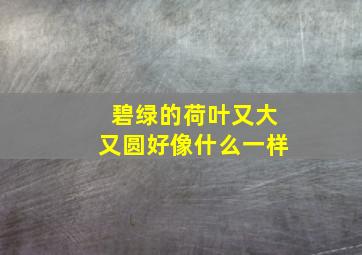 碧绿的荷叶又大又圆好像什么一样