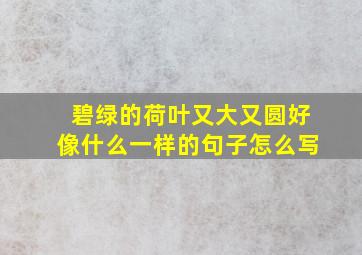 碧绿的荷叶又大又圆好像什么一样的句子怎么写