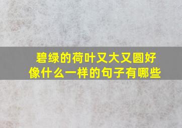 碧绿的荷叶又大又圆好像什么一样的句子有哪些