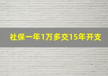 社保一年1万多交15年开支