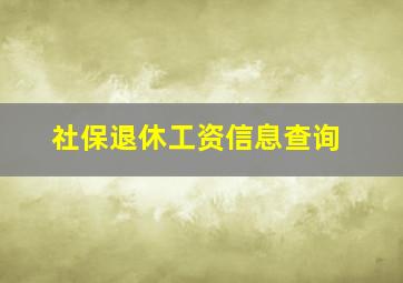 社保退休工资信息查询