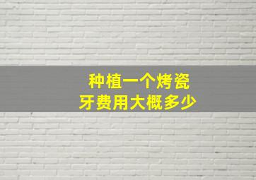 种植一个烤瓷牙费用大概多少