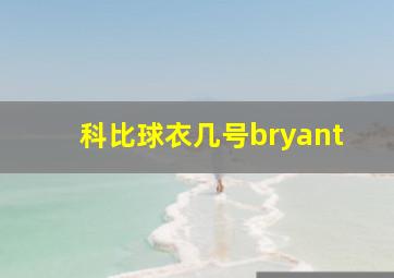 科比球衣几号bryant