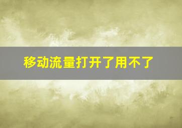 移动流量打开了用不了