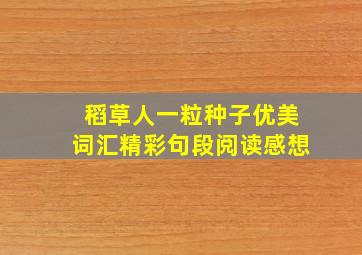 稻草人一粒种子优美词汇精彩句段阅读感想