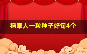 稻草人一粒种子好句4个