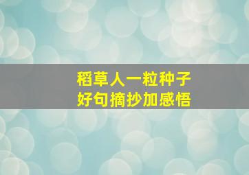 稻草人一粒种子好句摘抄加感悟