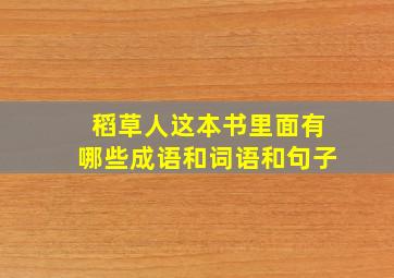 稻草人这本书里面有哪些成语和词语和句子