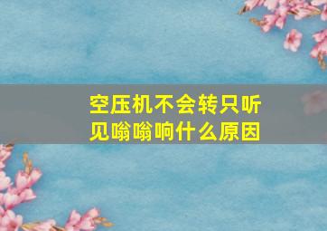 空压机不会转只听见嗡嗡响什么原因