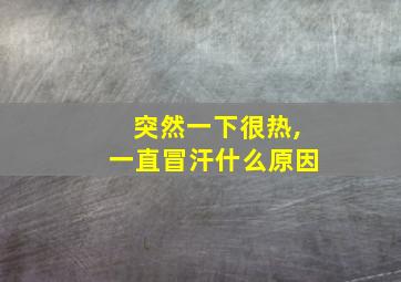 突然一下很热,一直冒汗什么原因