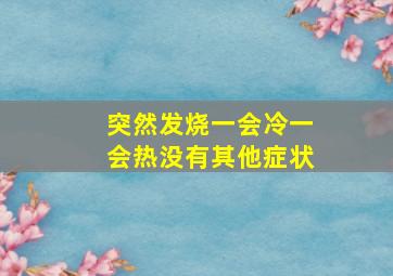 突然发烧一会冷一会热没有其他症状