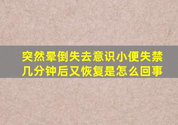 突然晕倒失去意识小便失禁几分钟后又恢复是怎么回事