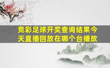 竞彩足球开奖查询结果今天直播回放在哪个台播放