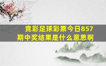 竞彩足球彩票今日857期中奖结果是什么意思啊