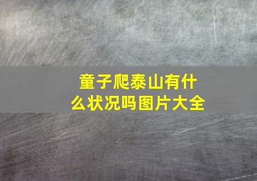 童子爬泰山有什么状况吗图片大全