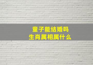 童子能结婚吗生肖属相属什么