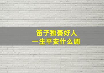 笛子独奏好人一生平安什么调