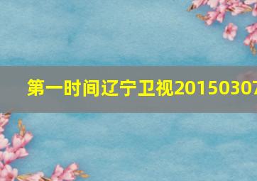 第一时间辽宁卫视20150307