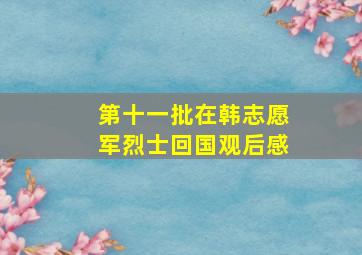 第十一批在韩志愿军烈士回国观后感